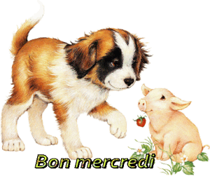 Gif animé Bon mercredi cjien et cochon